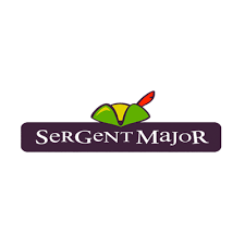 Client 4